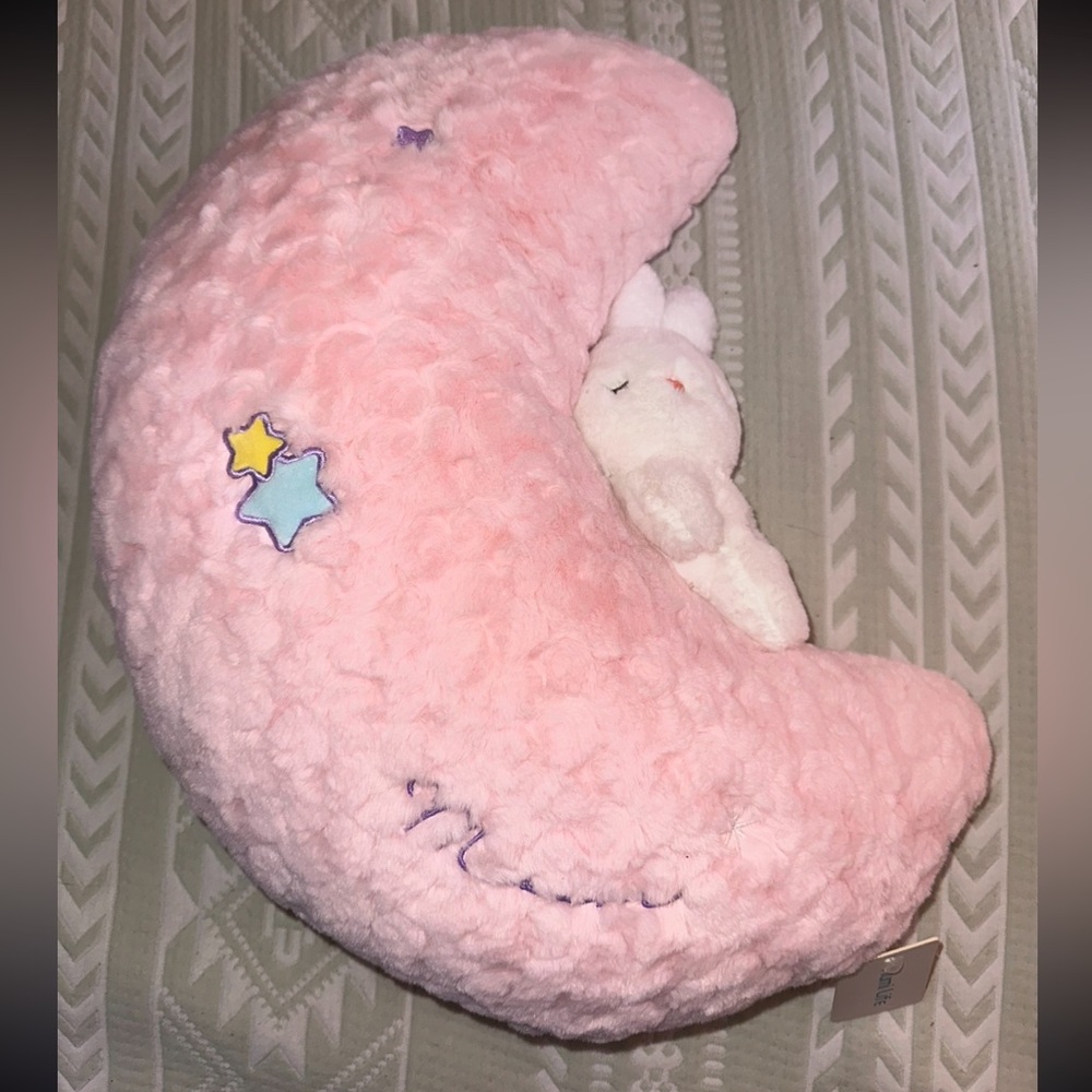 Pink Moon Plush with Bunny by